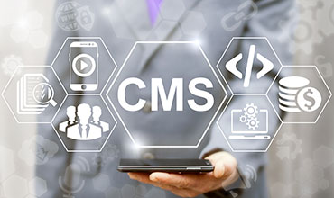 CMS Website Design img