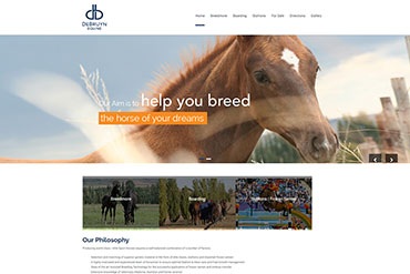 Custom WordPress Website Development